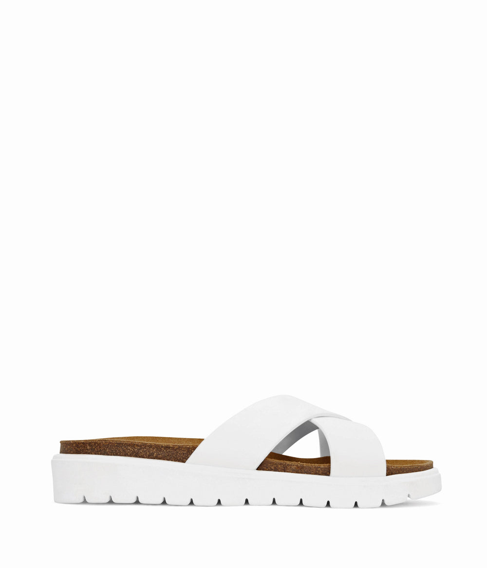 white,36