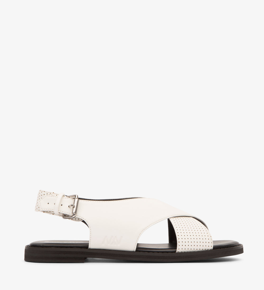 white,36